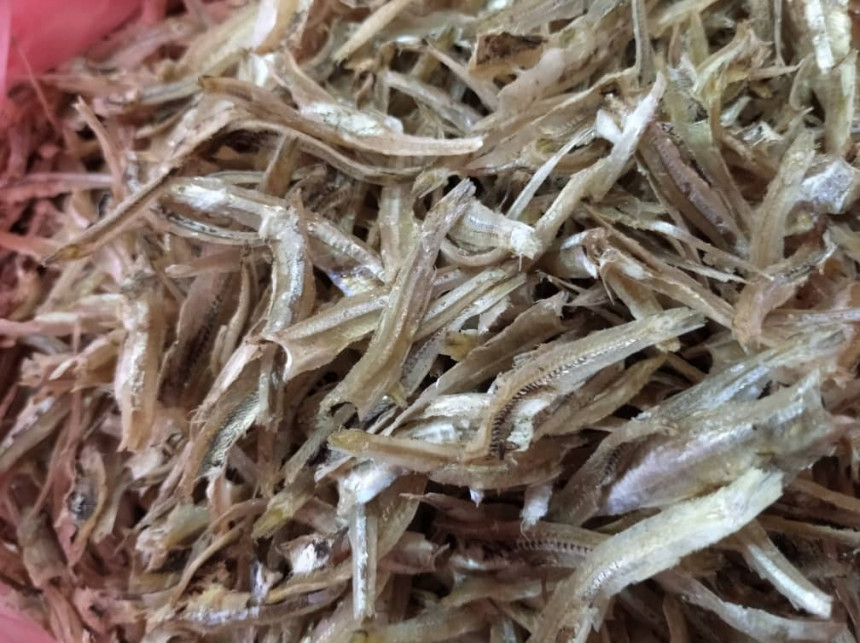 ikan-bilis-langkawi