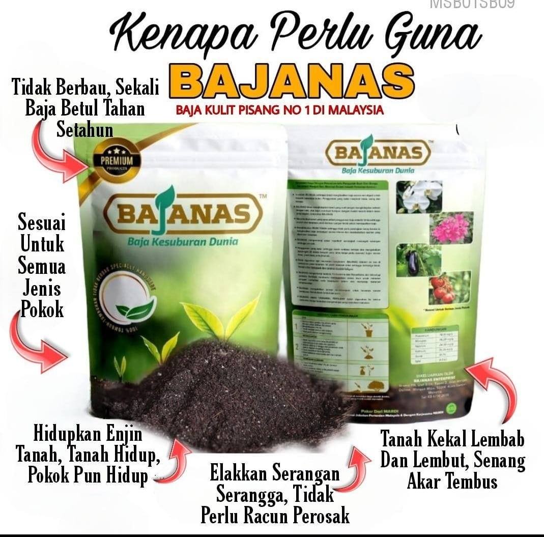 BAJANAS